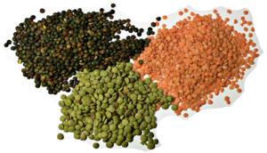 arhar dal 